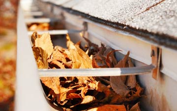 Great Raveley gutter cleaning companies